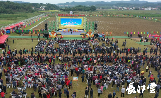9月21日,咸寧市咸安區高橋蘿卜小鎮百畝草地上舉行了“慶豐收·迎小康”第三屆中國農民豐收節湖北分會(huì )場(chǎng)咸寧主會(huì )場(chǎng)慶?;顒?dòng),全市各界農民代表相聚白水畈的美麗田野,分享豐收的喜悅,慶祝屬于自己的節日。 開(kāi)幕式上舉行了精彩的文藝演出,演出在舞蹈《慶豐收》中拉開(kāi)序幕,歌舞《錦繡小康》呈現出咸寧各地欣欣向榮、脫貧致富奔小康的幸福場(chǎng)景。網(wǎng)紅歌曲《你莫走》、舞蹈《慶豐收》、歌舞《一起幸?!?,一個(gè)個(gè)精彩的節目輪番上演,博得現場(chǎng)觀(guān)眾陣陣掌聲。 開(kāi)幕活動(dòng)現場(chǎng)還舉行了頒獎儀式,第二屆“美麗中國、鄉村振興”全國農民詩(shī)歌邀請賽獲獎組織和個(gè)人,全市農村人居環(huán)境整治示范村,省級農業(yè)產(chǎn)業(yè)化工作先進(jìn)集體和先進(jìn)個(gè)人上臺領(lǐng)獎?,F場(chǎng)還舉行了鄂南民俗展演、農民趣味運動(dòng)會(huì )、扶貧農產(chǎn)品以及咸寧特色農產(chǎn)品展銷(xiāo)等豐富多彩的活動(dòng)?;鸨娜藲?,讓在場(chǎng)的展銷(xiāo)商賺得是盆滿(mǎn)缽滿(mǎn)。 咸寧市咸安區鑫達種養專(zhuān)業(yè)合作社理事長(cháng)萬(wàn)永輝:今年家里的香菇都豐收了,一上午我就賣(mài)出了一萬(wàn)多元,我們合作社采取的是“合作社+農戶(hù)”的模式,也帶領(lǐng)了20多戶(hù)貧困戶(hù)脫貧了。 咸寧市致遠種植專(zhuān)業(yè)合作社理事長(cháng) 吳海兵:我們今年是真真正正地豐收了,我們生姜的價(jià)格足足翻了三倍,跟著(zhù)我們一起的貧困戶(hù)也平均增收了3000元左右。 而這一系列的活動(dòng),都是在蘿卜小鎮的草地上進(jìn)行的,草地作舞臺、草地搞展示、草地上比賽等等,這數百畝草地,此時(shí)此刻成為了咸寧農民們慶祝豐收的歡樂(lè )場(chǎng)。 咸寧市咸安區高橋鎮黨委書(shū)記王順榮:今年的湖北分會(huì )場(chǎng)在我們高橋蘿卜小鎮舉辦,我感到很榮幸,我們從一顆蘿卜做起,以白水畈蘿卜為核心品牌,打造白水畈"我家菜園"蔬菜基地及旅游觀(guān)光體驗中心,發(fā)展綠色農業(yè)、生態(tài)旅游,增加產(chǎn)業(yè)開(kāi)發(fā)的綜合效益,創(chuàng )建蘿卜特色小鎮,走出了一條農業(yè)、旅游相結合的新路,推動(dòng)高橋鎮一二三產(chǎn)業(yè)融合發(fā)展。 鄉親們說(shuō),這在以前是想都不敢想的,高橋鎮蝸居山里,太偏遠又沒(méi)有資源優(yōu)勢,想發(fā)展太難。而現在這一切的悄然改變,得益于2017年10月13日,咸安區政府與鄂旅投公司正式簽署的《131軍旅小鎮+白水畈田園綜合體旅游開(kāi)發(fā)投資合作協(xié)議》,鄂旅投公司將投資30億元,在高橋鎮打造131軍旅小鎮和白水畈田園綜合體旅游開(kāi)發(fā)項目。項目共分為131軍旅小鎮、白水畈美麗鄉村、特色農業(yè)示范、旅游綜合體四大板塊,打造旅游綜合服務(wù)區、澄水洞軍事展示區、青少年國防教育基地、鐵血軍事樂(lè )園區、戰狼訓練基地、美麗村灣民俗區、四季瓜果示范區、農耕文化展示區、特色商業(yè)街區和康養度假區十大功能區。 咸寧市咸安區高橋鎮黨委書(shū)記王順榮:我們引進(jìn)鄂旅投,打造蘿卜小鎮,目前建設有蘿卜小鎮科普館、蘿卜鄉學(xué)院、蘿卜酒店等休閑旅游項目,十一馬上到了,也歡迎廣大游客前來(lái)游玩。 今年是決勝全面建成小康社會(huì )、決戰脫貧攻堅之年。咸寧市本著(zhù)"儉樸、祥和、歡樂(lè ),農民參與,農民唱主角"的辦節思路,而此屆中國農民豐收節辦節費用也是倍減。 農為邦本,本固邦寧。今年,面對重大疫情和特大洪澇災害,咸寧市扎實(shí)做好“六穩”工作、落實(shí)“六?!比蝿?wù),克服重重困難,推動(dòng)農業(yè)實(shí)現持續平穩發(fā)展,形成了茶葉、油茶、中藥材等12個(gè)特色農業(yè)主導產(chǎn)業(yè),“全國一村一品示范村鎮”發(fā)展到14家,國家級、省級農業(yè)產(chǎn)業(yè)化龍頭企業(yè)達到55家。尤其是糧食產(chǎn)量預計達118萬(wàn)噸、蔬菜產(chǎn)量預計達260萬(wàn)噸,生豬預計出欄183.52萬(wàn)頭,農業(yè)生產(chǎn)再獲豐收,糧食安全有效保障,讓農民的腰包更鼓、家園更美、生活更甜,為加快實(shí)施鄉村振興戰略、推動(dòng)咸寧高質(zhì)量發(fā)展提供堅實(shí)保障。